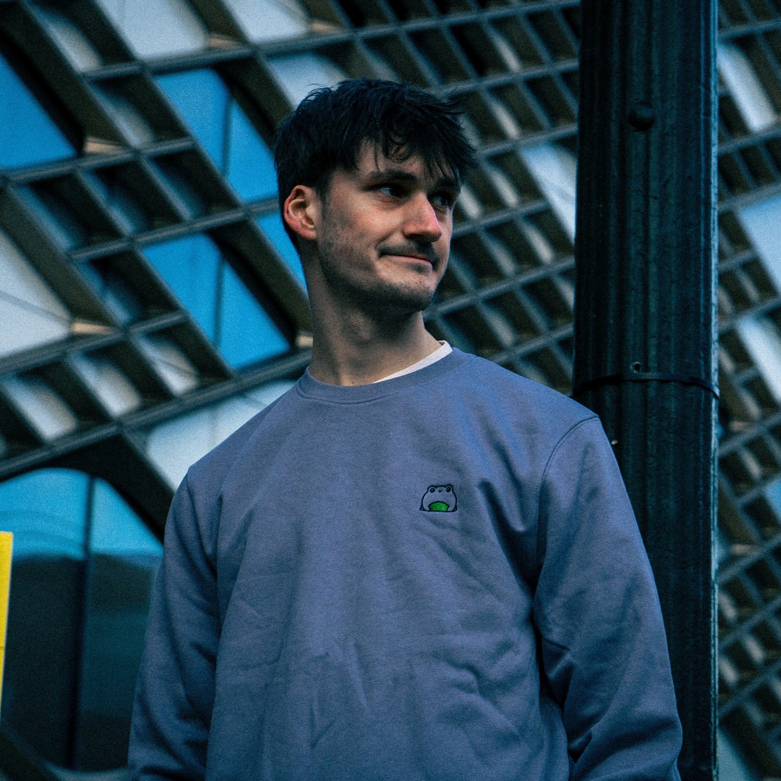 Frog Sweatshirt (Old Fit) - Image 3