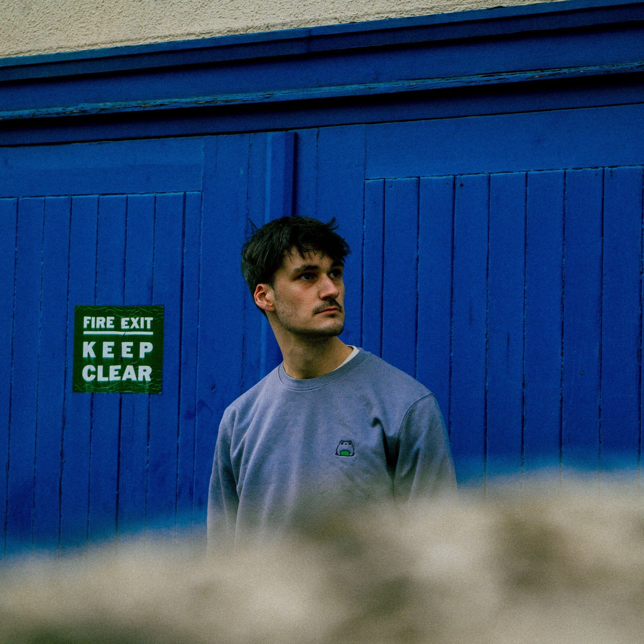 Frog Sweatshirt (Old Fit) - Image 4